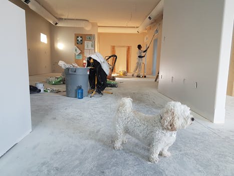 Top 5 Signs It’s Time to Call a Handyman for Your Home Repairs
